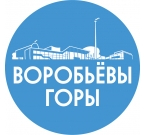 Государственное бюджетное профессиональное образовательное учреждение города Москвы "Воробьевы горы"
